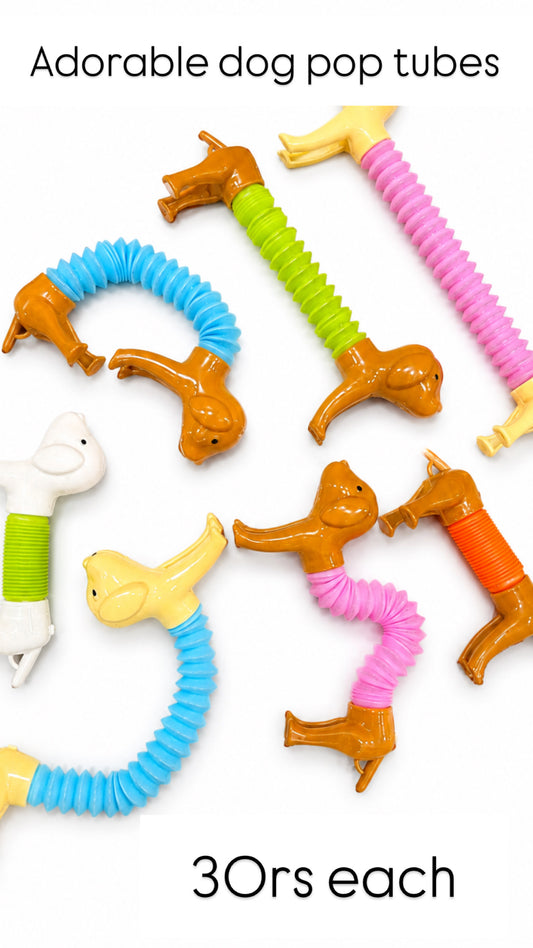 Pop Tubes Fidget Toy Guddie Bag Fillers (Pack of 10)
